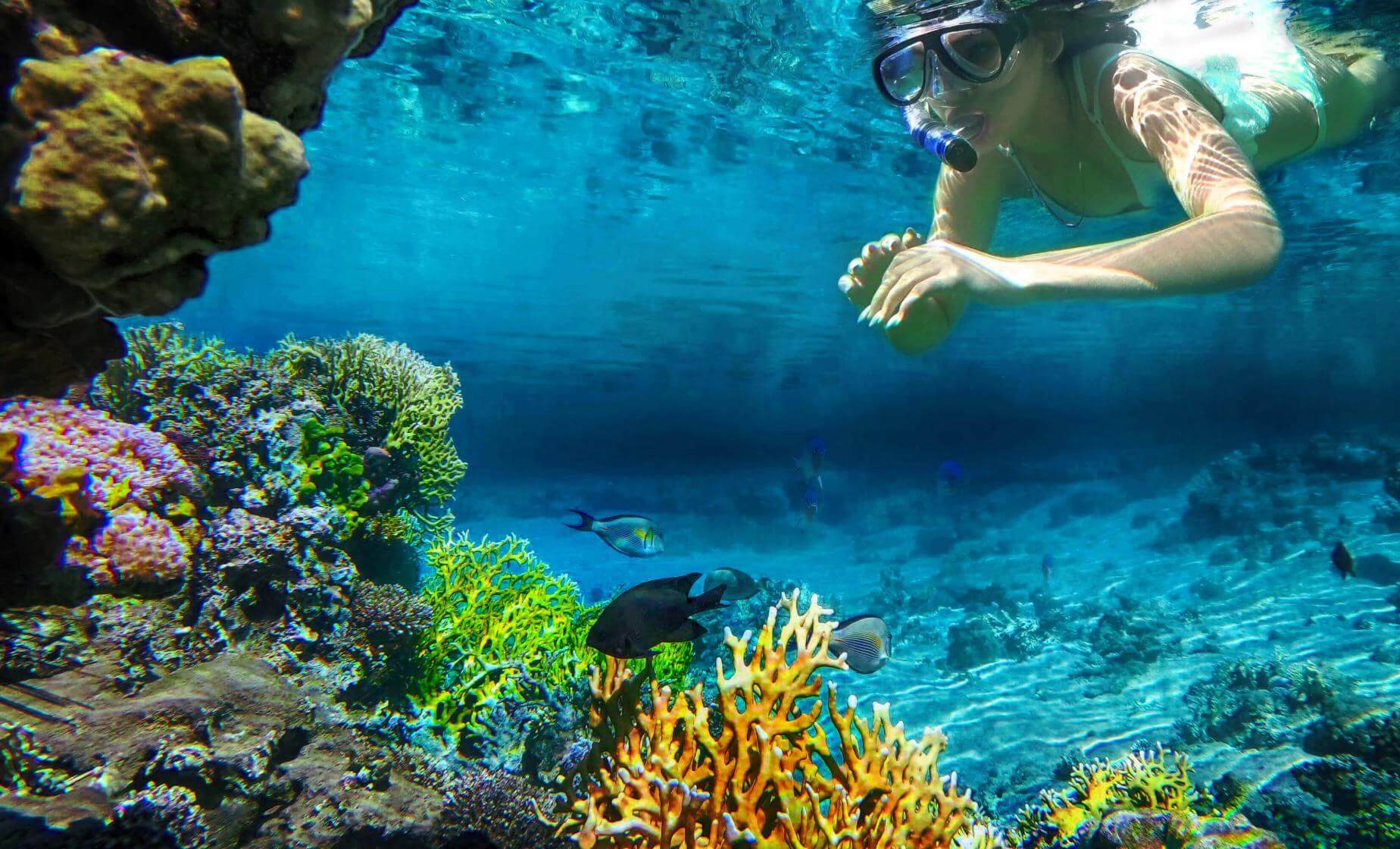 La Caleta Snorkel Safari